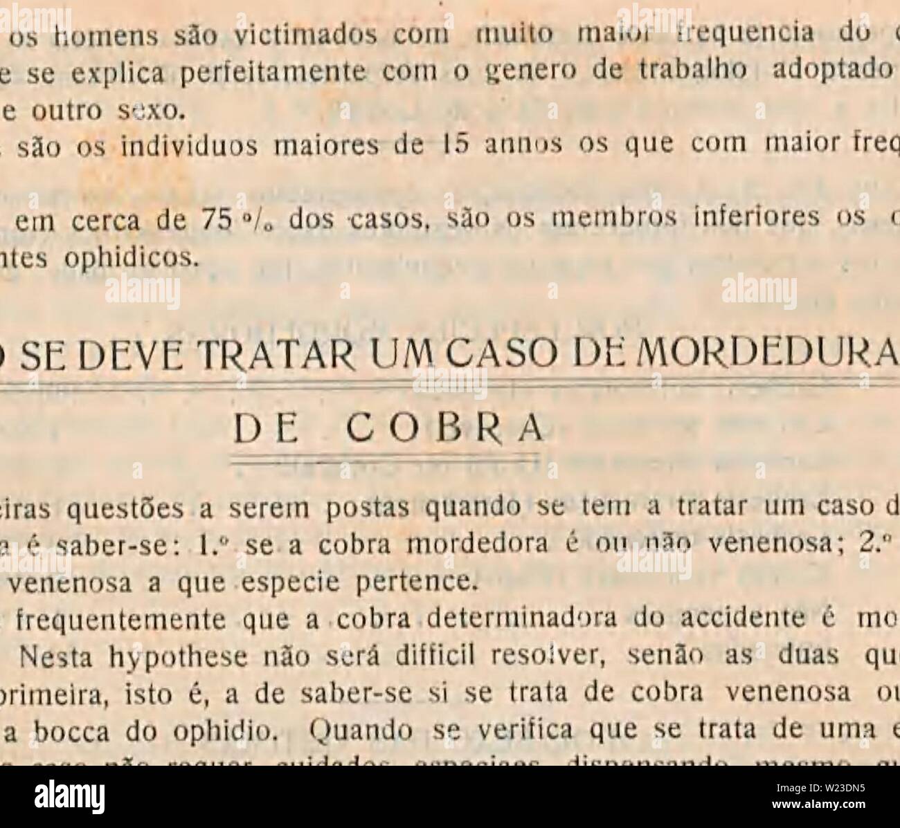 Archive image from page 157 of A defesa contra o ophidismo. A defesa contra o ophidismo  defesacontraoop00Braz Year: 1911 Stock Photo