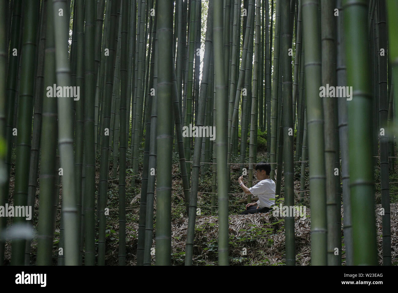 July 5, 2019 - Damyang, JEONNAM, SOUTH KOREA - July 5, 2019-Damyang, South Korea-Visitors rest with take a walk under a bamboo wood at Juknokwon in Damyang, southwest of Seoul, South Korea. A heat wave warning was issued nationwide. (Credit Image: © Ryu Seung-Il/ZUMA Wire) Stock Photo