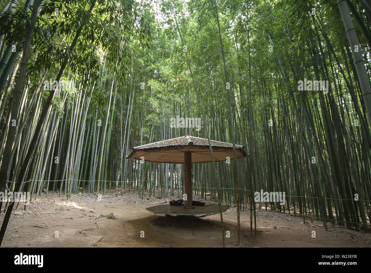July 5, 2019 - Damyang, JEONNAM, SOUTH KOREA - July 5, 2019-Damyang, South Korea-Visitors rest with take a walk under a bamboo wood at Juknokwon in Damyang, southwest of Seoul, South Korea. A heat wave warning was issued nationwide. (Credit Image: © Ryu Seung-Il/ZUMA Wire) Stock Photo