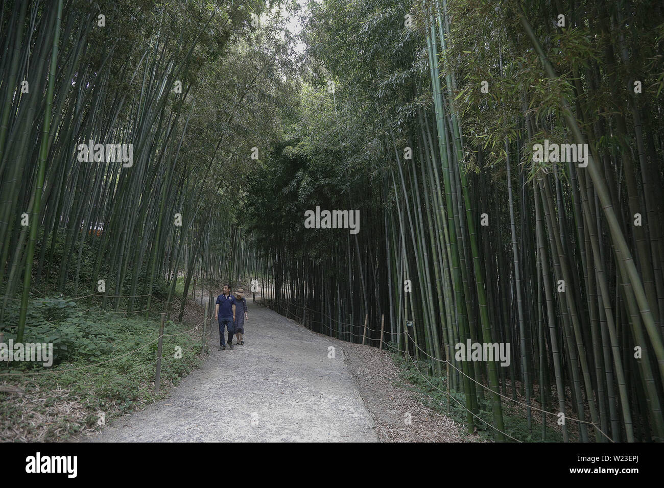 Damyang, JEONNAM, SOUTH KOREA. 5th July, 2019. July 5, 2019-Damyang, South Korea-Visitors rest with take a walk under a bamboo wood at Juknokwon in Damyang, southwest of Seoul, South Korea. A heat wave warning was issued nationwide. Credit: Ryu Seung-Il/ZUMA Wire/Alamy Live News Stock Photo