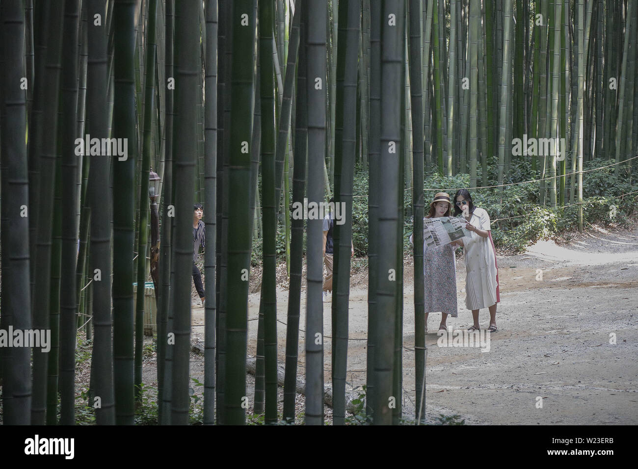 Damyang, JEONNAM, SOUTH KOREA. 5th July, 2019. July 5, 2019-Damyang, South Korea-Visitors rest with take a walk under a bamboo wood at Juknokwon in Damyang, southwest of Seoul, South Korea. A heat wave warning was issued nationwide. Credit: Ryu Seung-Il/ZUMA Wire/Alamy Live News Stock Photo