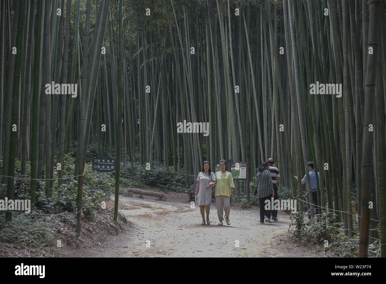 Damyang, JEONNAM, SOUTH KOREA. 5th July, 2019. July 5, 2019-Damyang, South Korea-Visitors rest with take a walk under a bamboo wood at Juknokwon in Damyang, southwest of Seoul, South Korea. A heat wave warning was issued nationwide. Credit: Ryu Seung-Il/ZUMA Wire/Alamy Live News Stock Photo