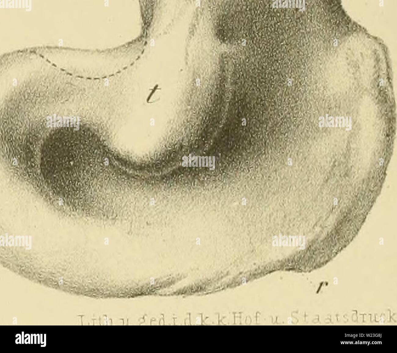 C 1850 Fi High Resolution Stock Photography And Images Alamy