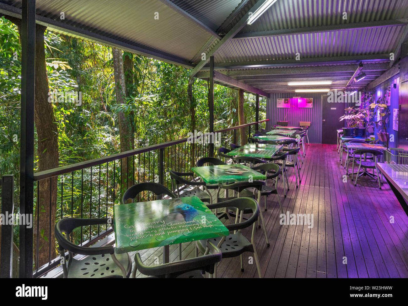 Cafe terrace at the Daintree Discovery Centre, Daintree Rainforest, Daintree National Park, Queensland, Australia Stock Photo