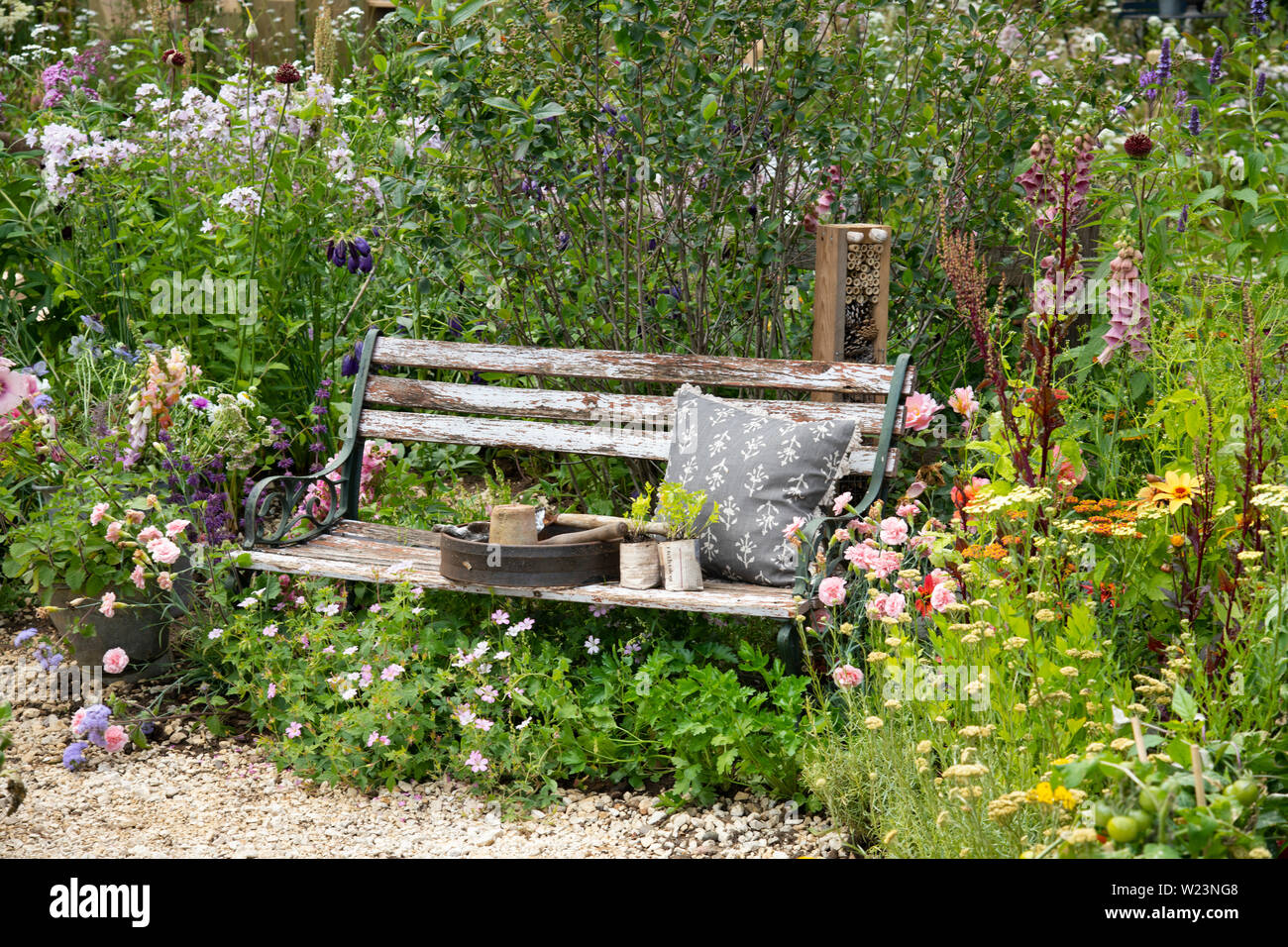 Jo thompson hires stock photography and images Alamy