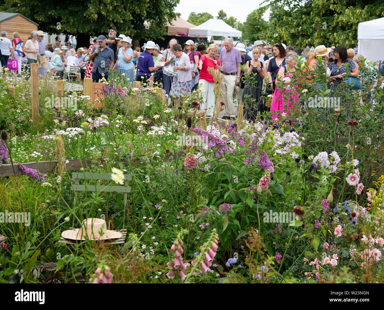 Jo thompson hires stock photography and images Alamy