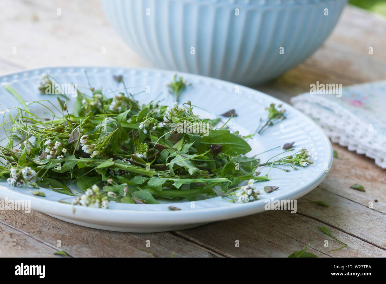 Krautersalat hi-res stock photography and images - Alamy