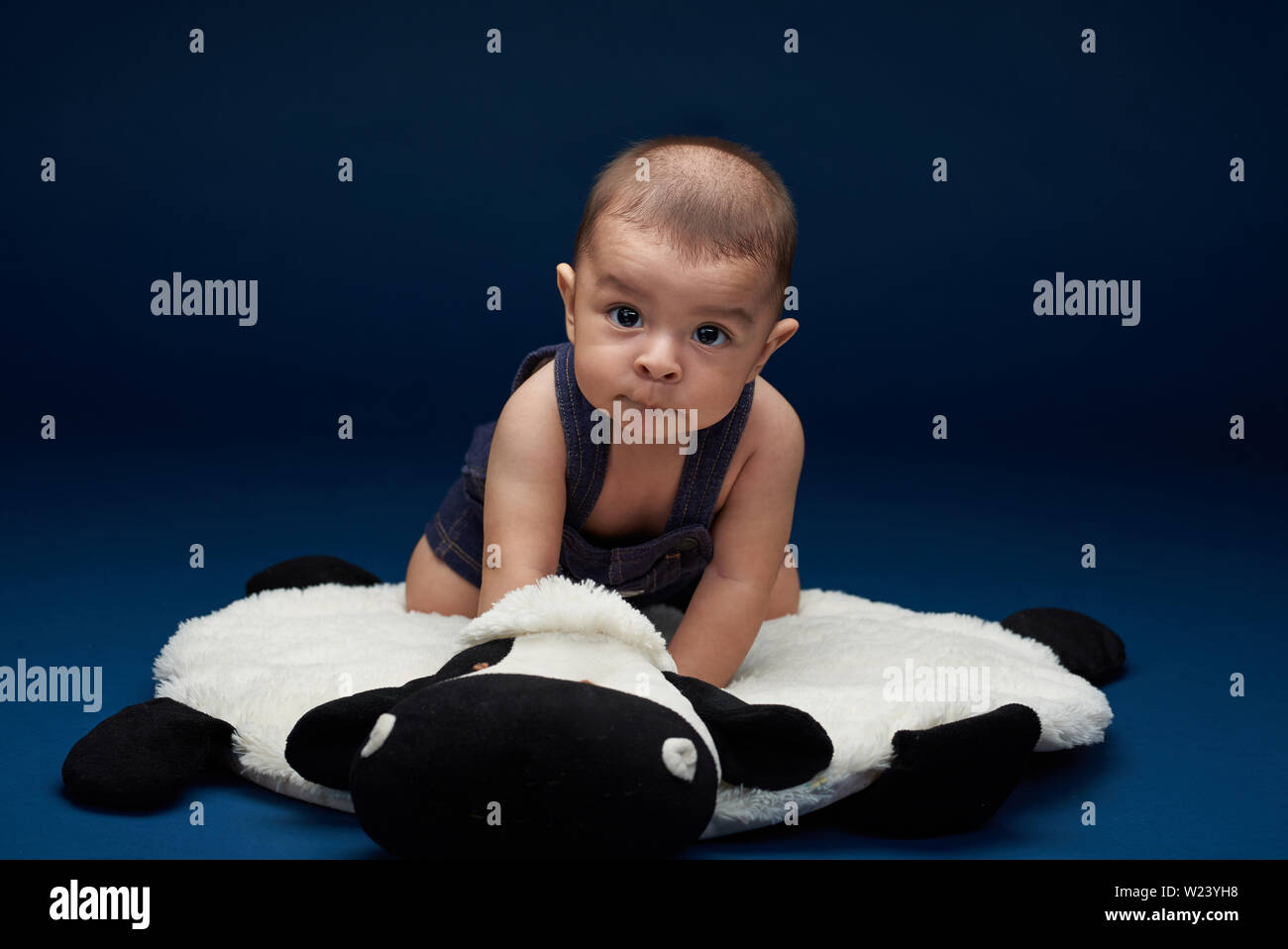 Portrait of nice cute baby boy sitting on pillow blue studio background Stock Photo Alamy