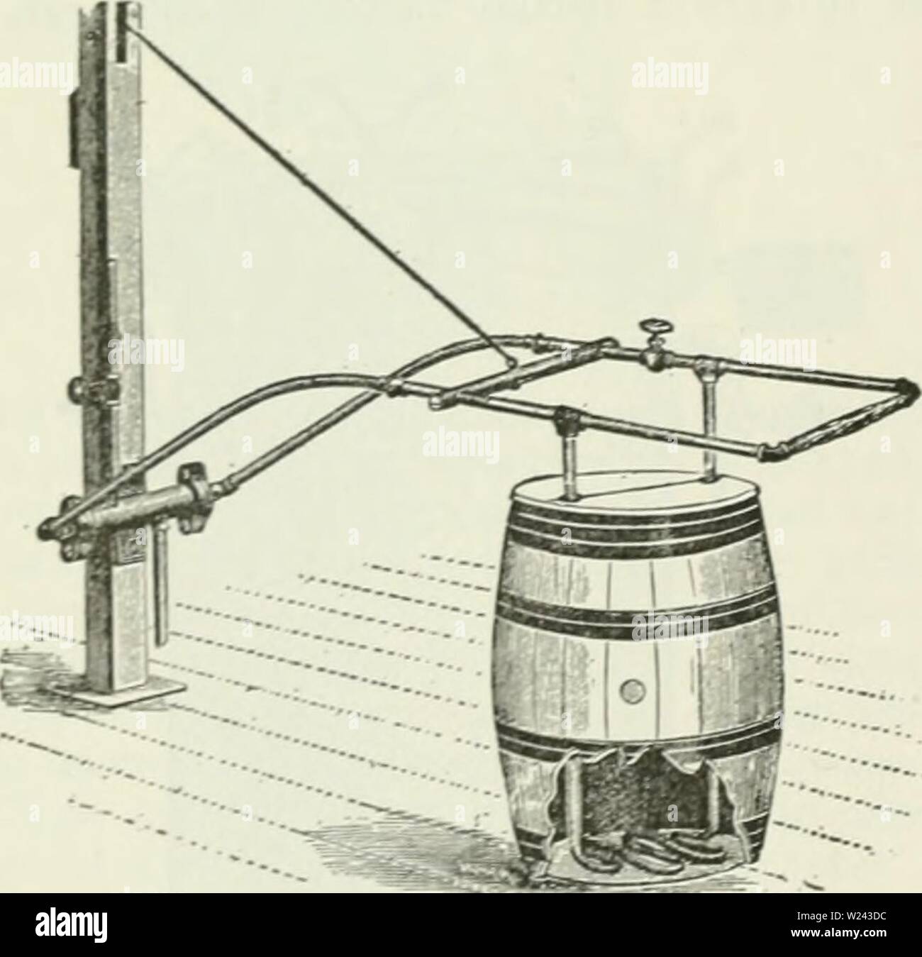 Archive image from page 201 of Cyclopedia of farm crops . Cyclopedia of farm crops : a popular survey of crops and crop-making methods in the United States and Canada  cyclopediaoffarm00bailuoft Year: 1922, c1907  170 THE COMMERCIAL CANNING INDUSTRY the ends of the cans and should always be present in sound cans. If, however, putrefaction or fer- mentative changes take place, in which gases are produced, the ends bulge out, owing to the pres- sure of the gas within, and so may be easily de- tected. Even in case no swelling of the cans takes place, skilful inspectors can distinguish between goo Stock Photo