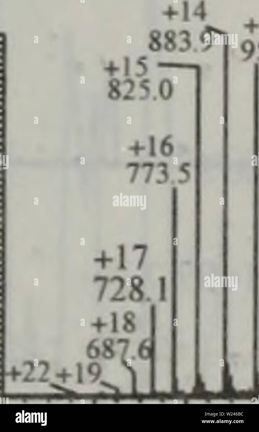 Archive image from page 210 of dan bai zhi hua xue. dan bai zhi hua xue yu dan bai zhi zu xue  danbaizhihuaxuey00xiaq Year: 2004.4  å¾è°±ï¼ä»¥ä¾ä¸æå·¥è§£æç»æç¸å¯¹ç §ãé¬ç»èè²ç´ Cçæ»å æå¼æé«ï¼ä¸º180ï¼æ18ä¸ªCID è´¨è°±å¾ä¸ä¹æ¾èç¸å ³(åä¸ºæä½³å¹é è½æ®µï¼ï¼èå ¶ä»å ä¸ªèç½è´¨çæ»å æå¼é½ä¸é«ãä»ç» è§å¯æ£ç´¢ç»æåç°ï¼èç½è´¨CPT7 HORSEç4ä¸ªæä½³è½æ®µåæ¥èªäºå¨ä¸åçæ¶é´åå«åº ç°4æ¬¡çä¸ä¸ªè´¨éæ°çº¦ä¸º452.2çç¦»å-ï¼èè¿ææå¯è½å°±æ¯æ¥èªç³»ç»å é¨çæè´¨ç¦»å-ã è¿è¯´æåç¨CZE/MS/MSæäº§ççCIDè´¨è°±å¾æ£ç´¢èç½è´¨åºåæ°æ®åºæ¥é´å®èç½è´¨ï¼å¯ ä»¥å¾å°å¿«æ·èå¯é çç»æ[76]ã B CYC â EQUAS 50(5 0 ,0 ,0 0) 1 10 12 18 2 CYC â HELAS 30(0 0 0) 3 C Stock Photo