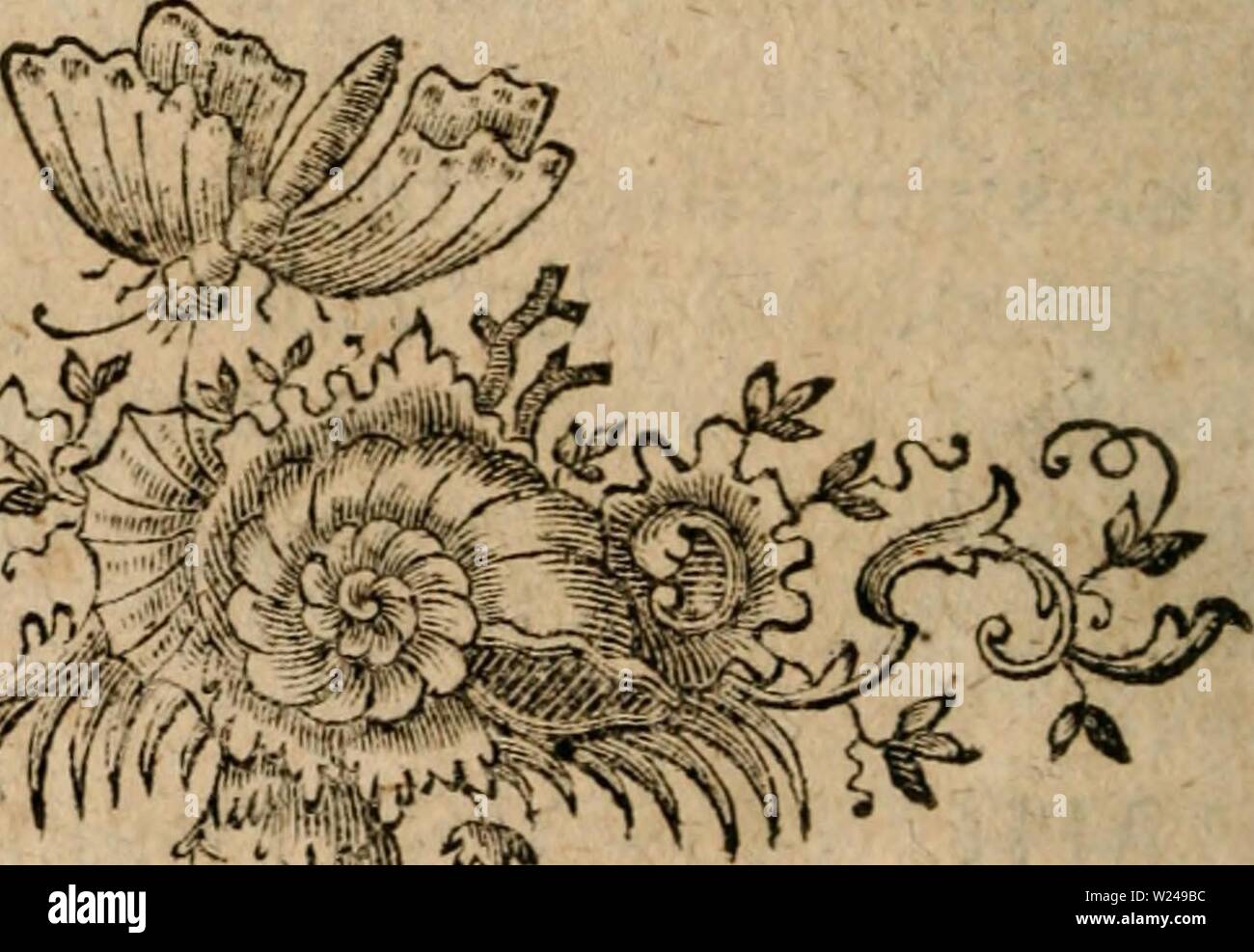 Archive image from page 219 of D Christiani Gottlieb Ludwig . D. Christiani Gottlieb Ludwig ... Definitiones generum plantarum : olim in usum auditorum collectas nunc auctas et emendatas  dchristianigottl00ludw Year: 1760  168 CLASSIS III. PLANTAE. foechinatas, haerent, ct funt oblonga, com- preffa. Partes plantae dijruptae fila trahunt. 425. SPHAERANTHVS. VailLAcuVa- rif. 1719. p- 2£o. Linn. Ed. V. n. £93. Thalamus globofus fufcipit colleftiones flo- fculorum , calice proprio contentas , easque fquamis thalamo affixis diftinguit; calix partialis pentaphylius ouula comprehendit, quae in me- di Stock Photo