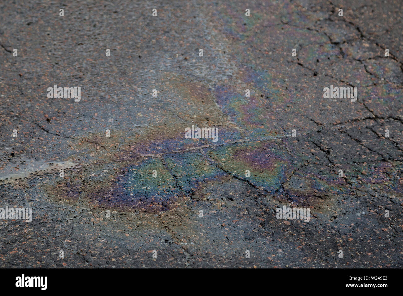 Close-up of an iridescent oil or gasoline spill on a wet asphalt. Tilted angle, focused on the foreground. Stock Photo