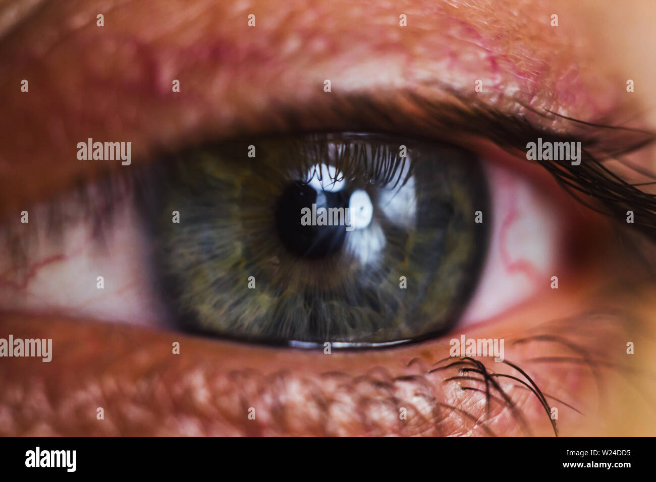 open human eye with bright red arteries close up. irritation and redness of the eyeball. pupils, iris, eyelashes in macro. vision problems. Stock Photo