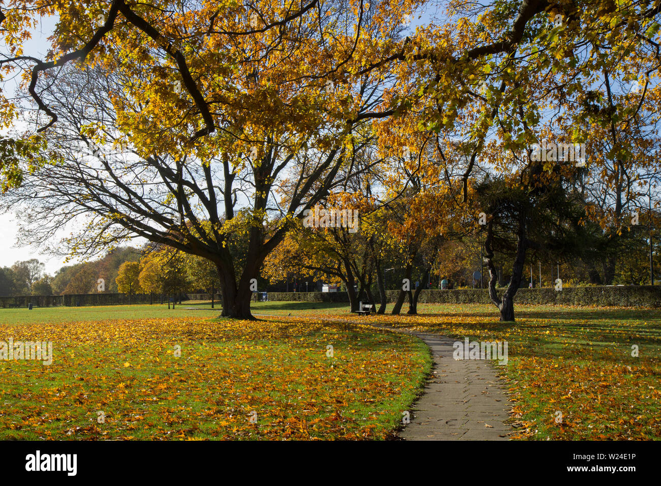 autumn days park of Area, Stock Photo - Alamy