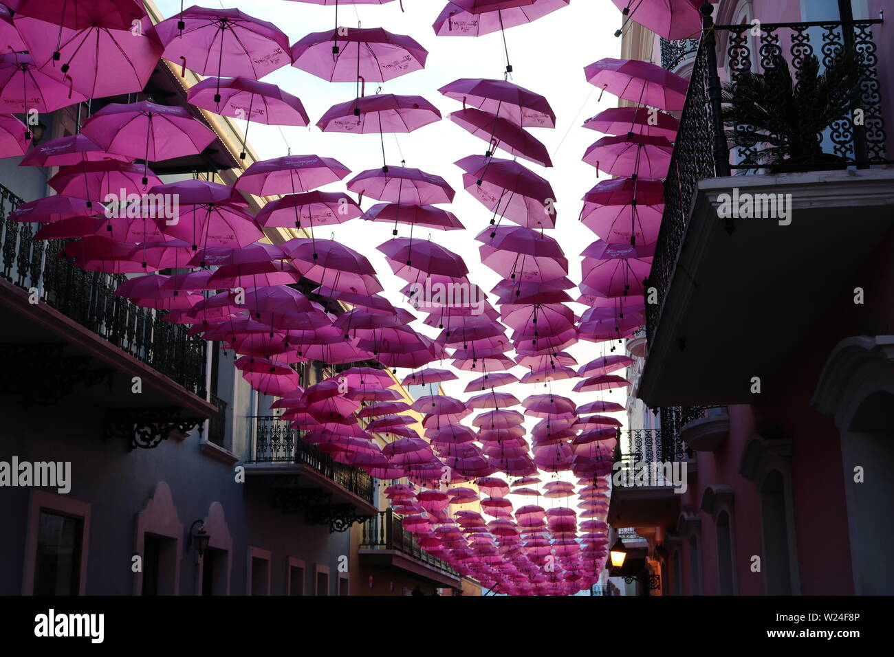 Pink umbrella above the street in Puerto Rico Stock Photo