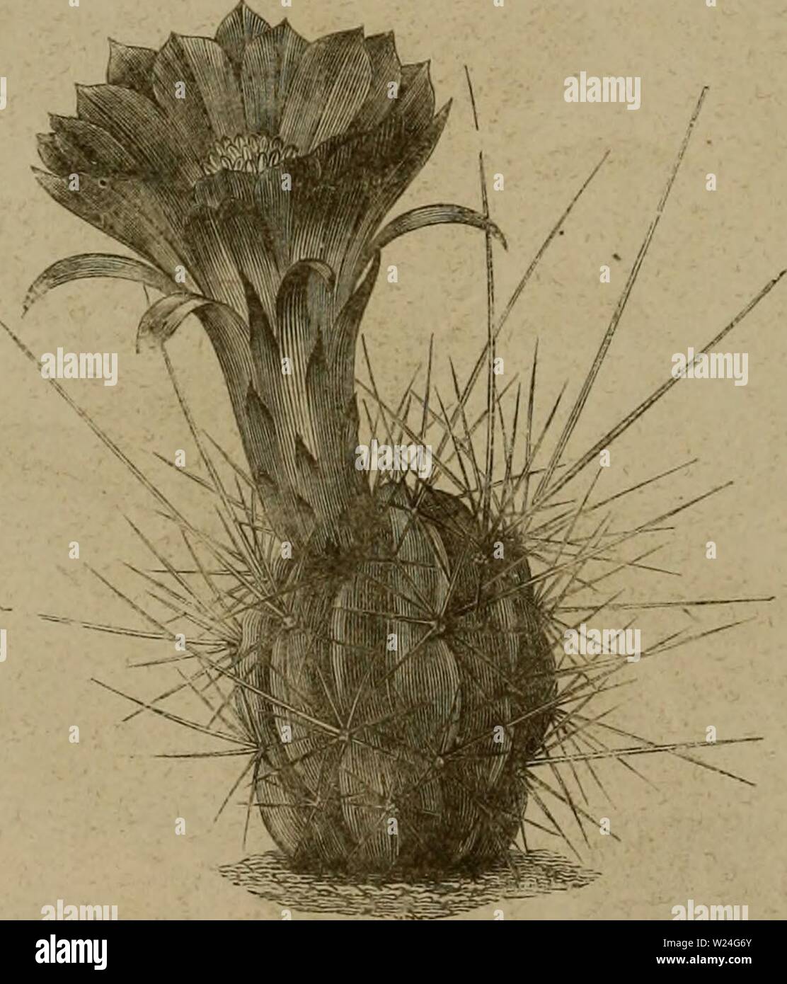 Dix Huit High Resolution Stock Photography And Images Alamy