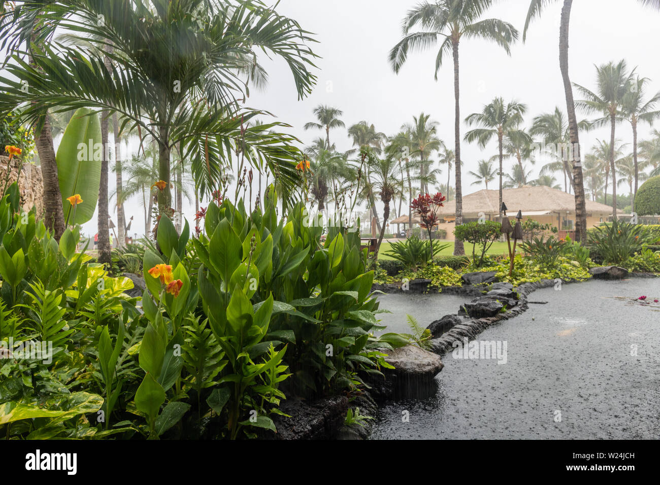 Rain in paradise, Oahu, Hawaii Stock Photo Alamy