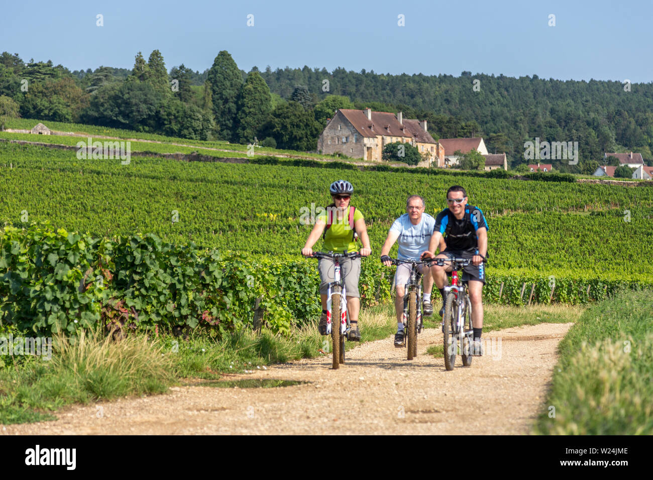 Cote D'or, Dijon, France - July 26, 2014: three people riding bicycles on a road of the Cote D'or, Burgundy, among beautiful landscape of vineyards. Stock Photo