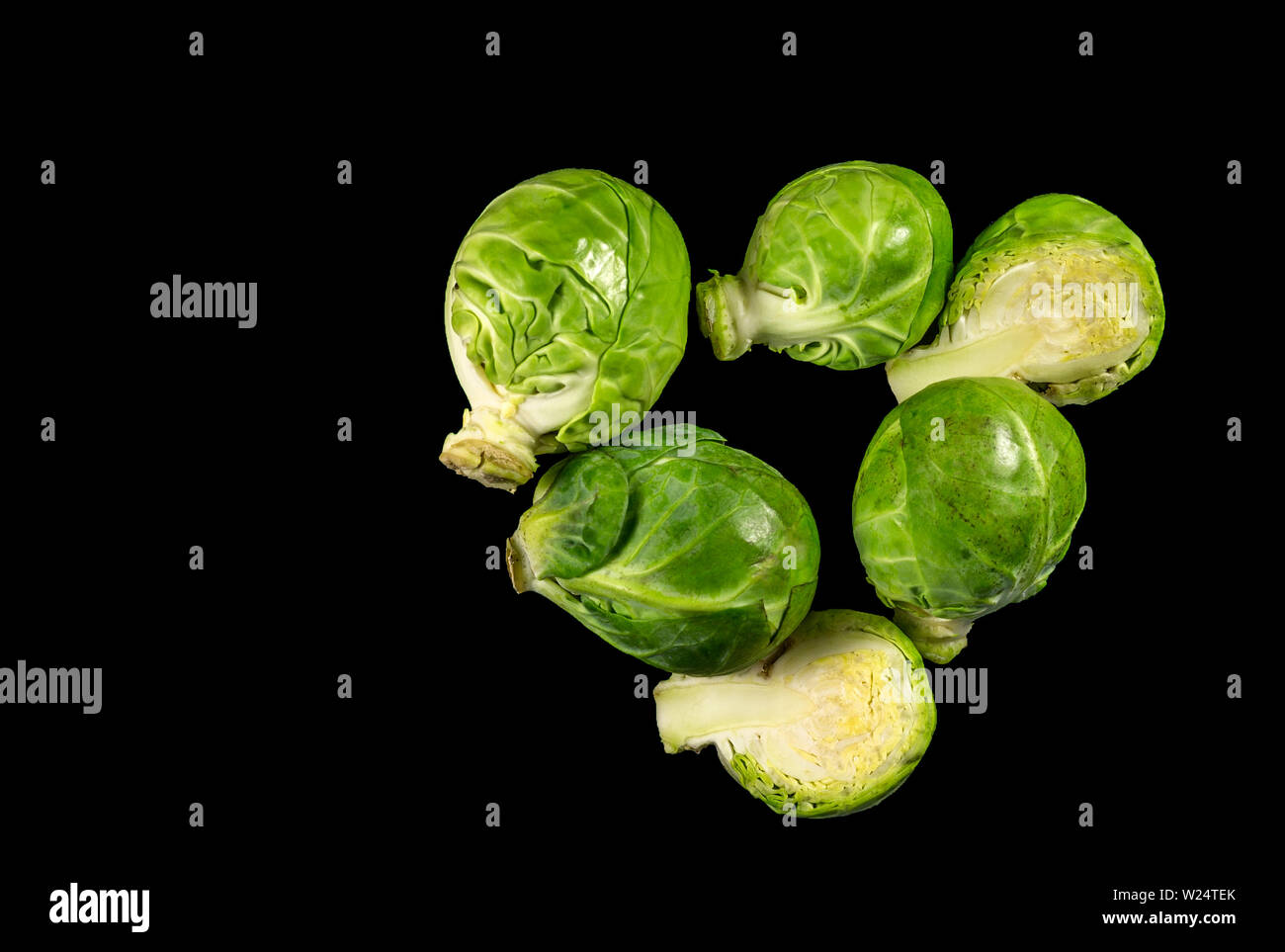 The Brussels Sprouts are a variety of the gemmifera group of cabbages