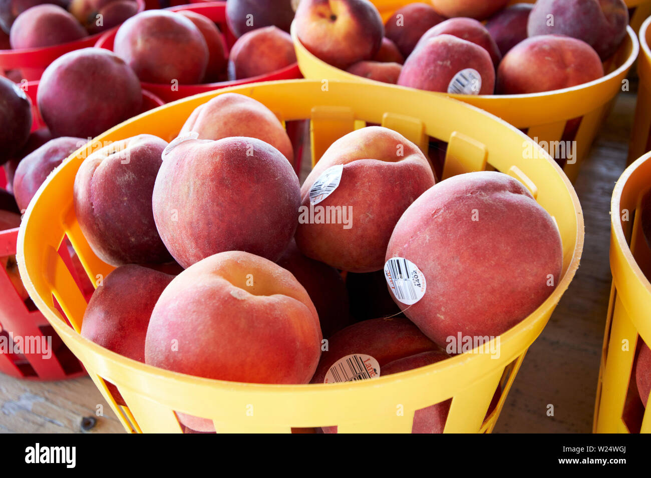 Georgia Peaches