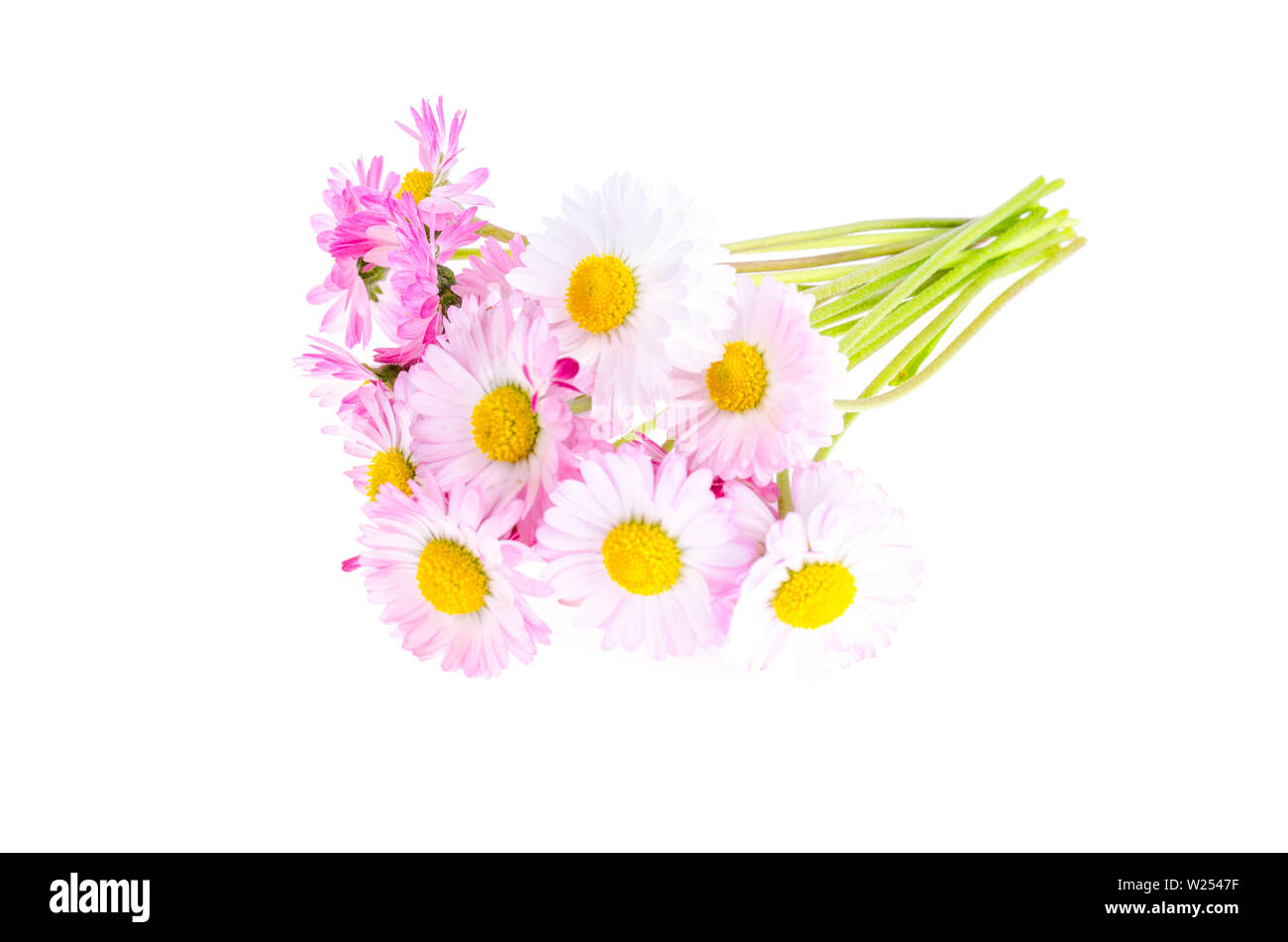 colorful Small bouquet of tender daisies. Photo Stock Photo Alamy