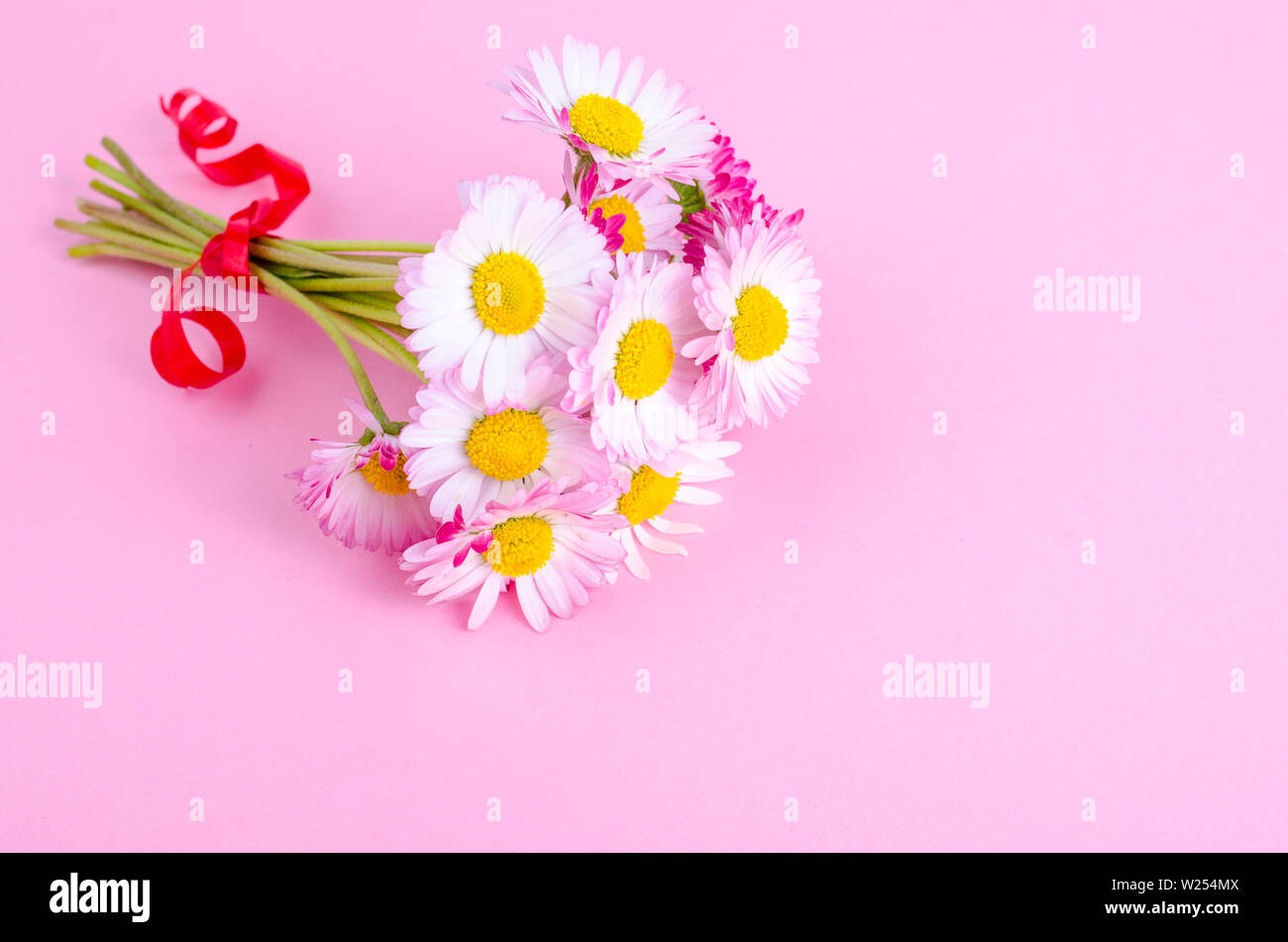 colorful Small bouquet of tender daisies. Photo Stock Photo Alamy