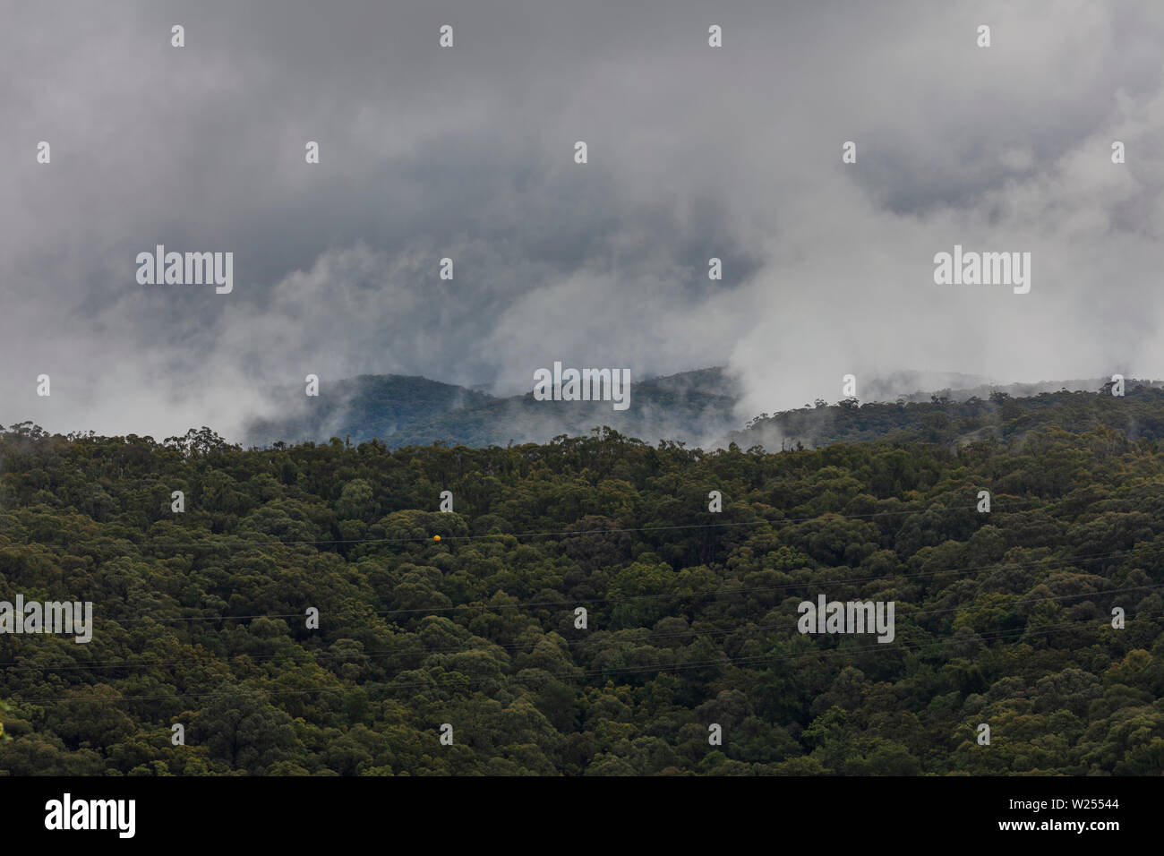 A severe weather mass of clouds over a gully filled with gum trees