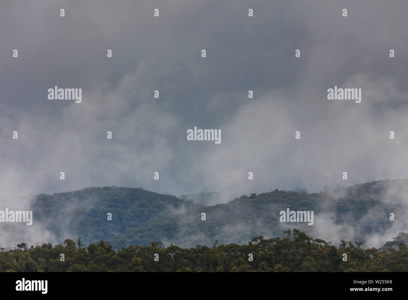 A severe weather mass of clouds over a gully filled with gum trees