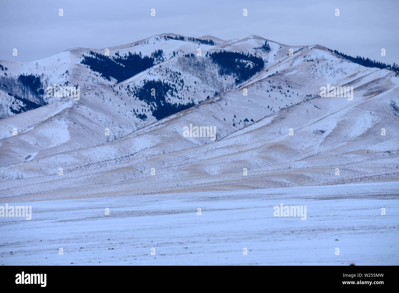 Snow covered mtns in Idaho Stock Photo