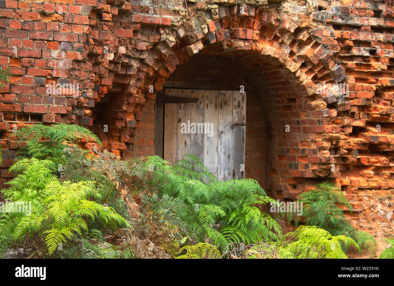 Antique bricks line the walls of a brick kiln on Maria Island, Tasmania, with bracken ferns in front of a partly-open wooden door Stock Photo