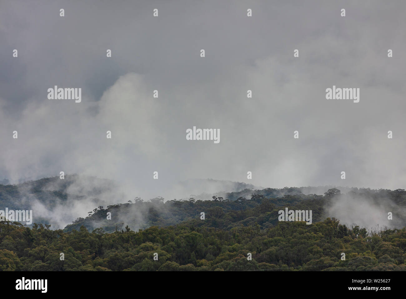 A severe weather mass of clouds over a gully filled with gum trees