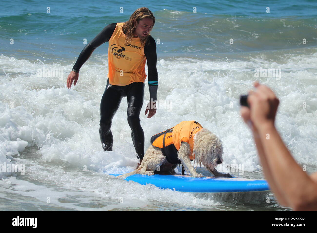 Dog surfing event in Huntington Beach, CA Stock Photo