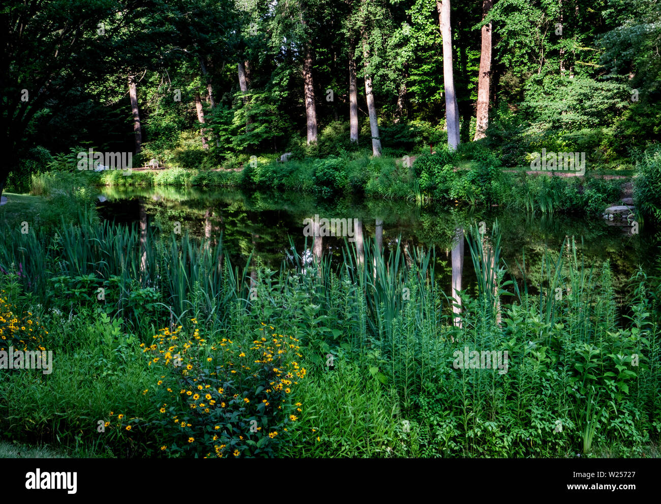 Deep waters Stock Photo