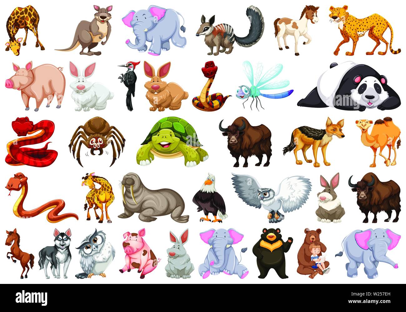 Illustration With Different Animals Cartoon Animals Illustration