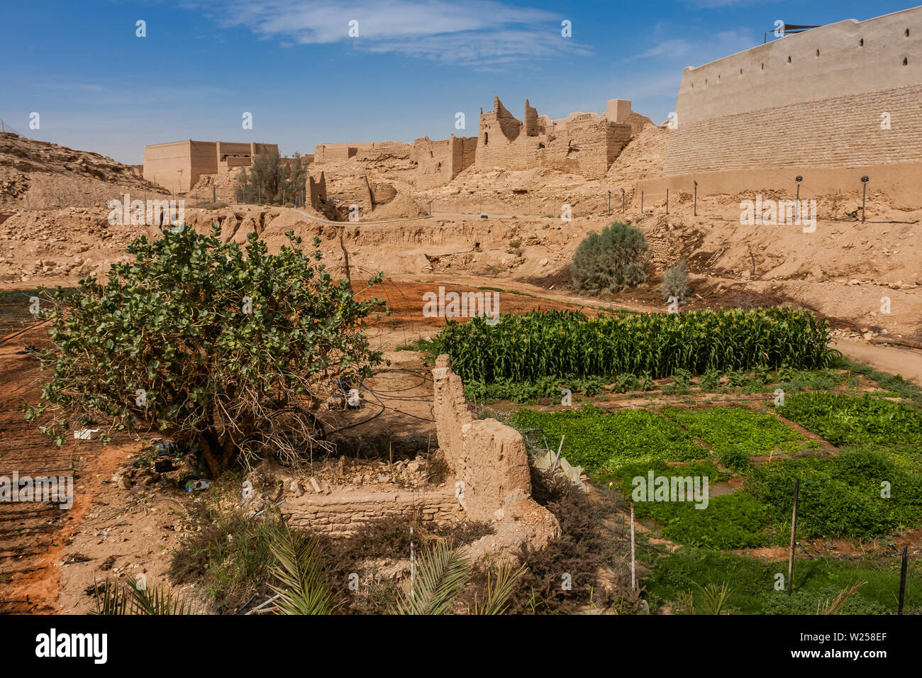 wadi hanifa garden