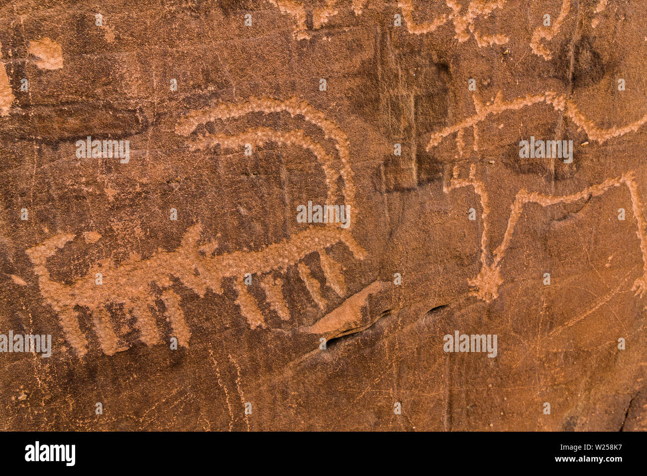 Neolithic petroglyphs on the Queen Victoria Rock near Riyadh Stock Photo