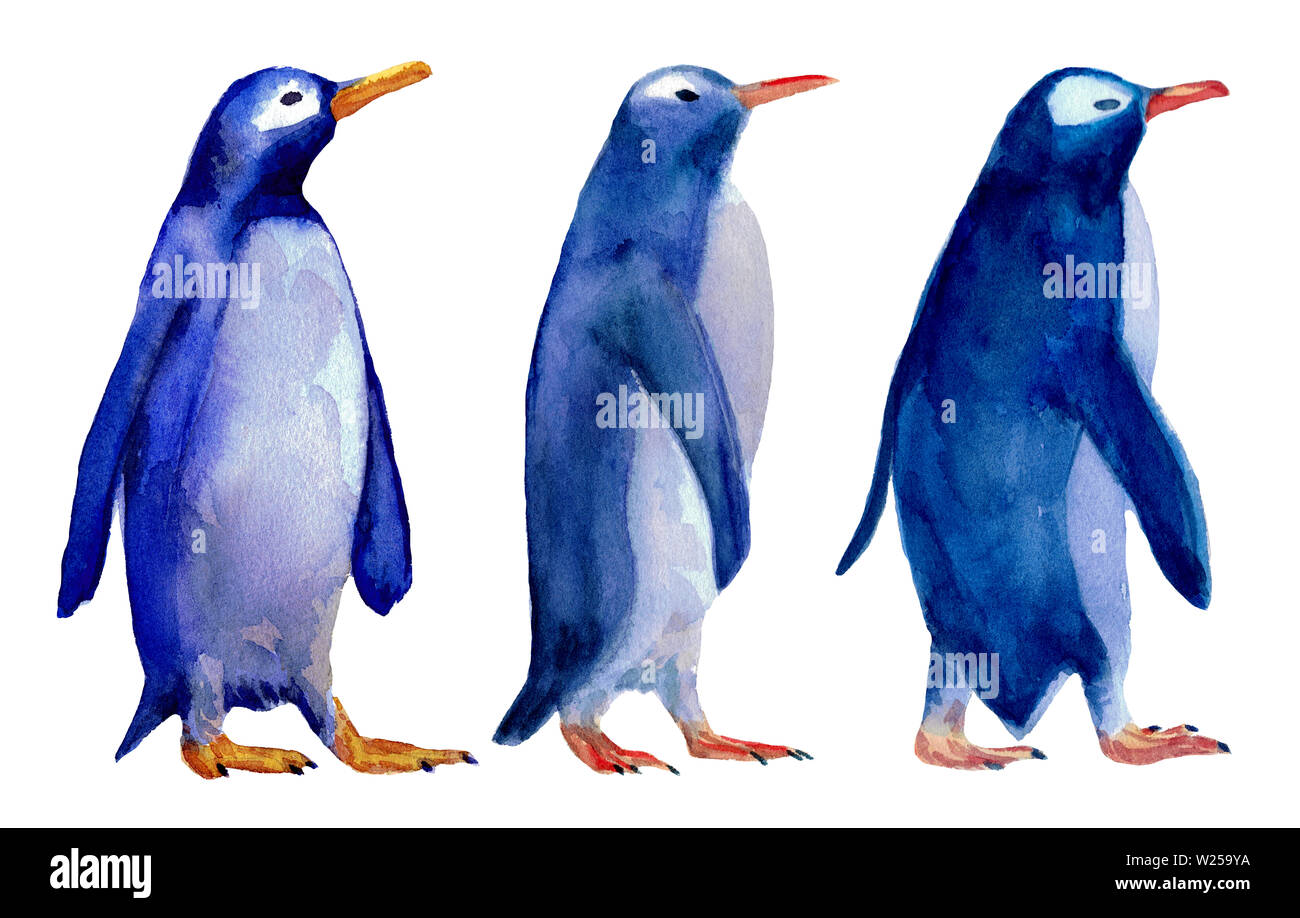 Watercolor hand drawn illustration of three wolking blue penguins isolated on white background. Design for kids background, packaging, wrapping papper Stock Photo