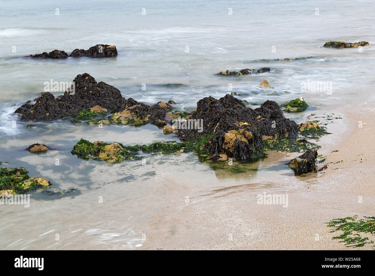 Beautiful rocks formations on the Pacific Ocean near Half Moon Bay, California Stock Photo