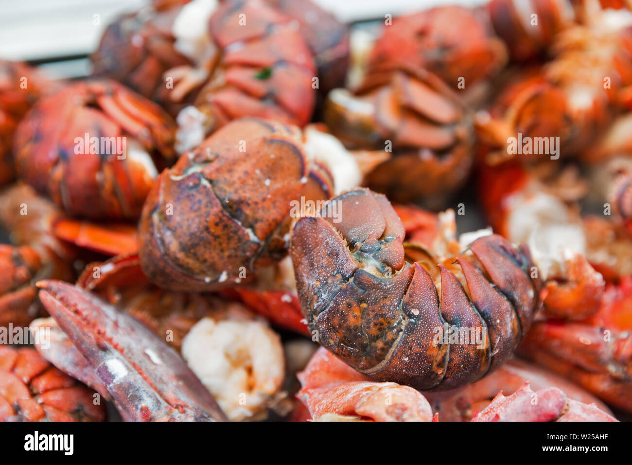 red cooked lobster tails and claws closeup background Stock Photo