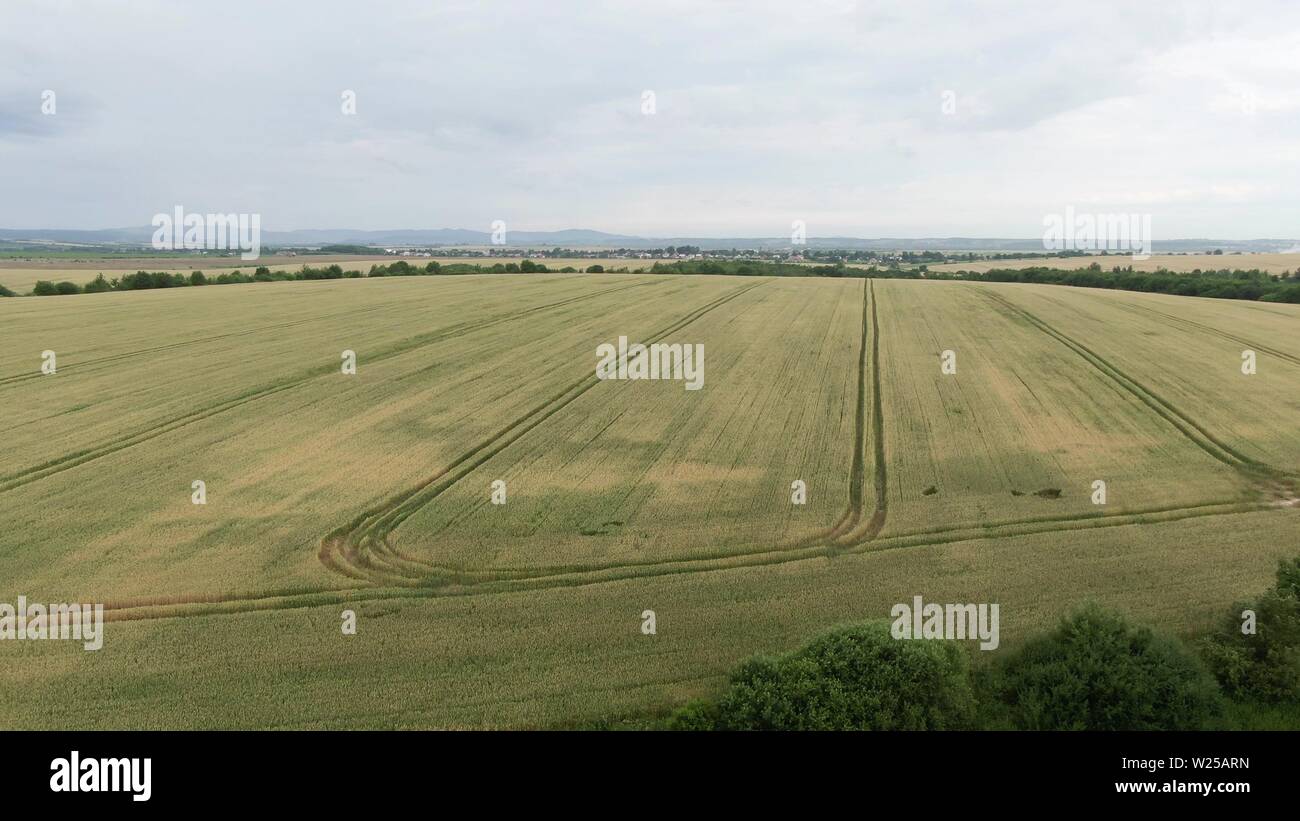Aerial footage over field wheat hi-res stock photography and images - Alamy