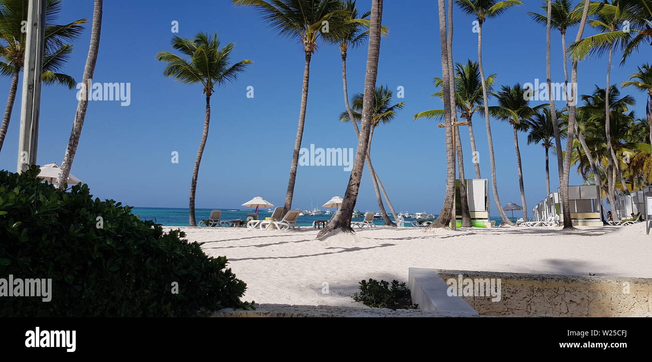 Punta Cana, Dominican Republic, Bavaro Beach, Holiday, Adults Only, Stock Photo