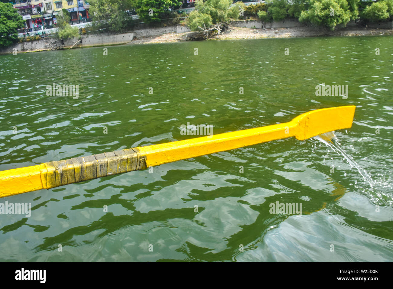 floating in the water Stock Photo - Alamy