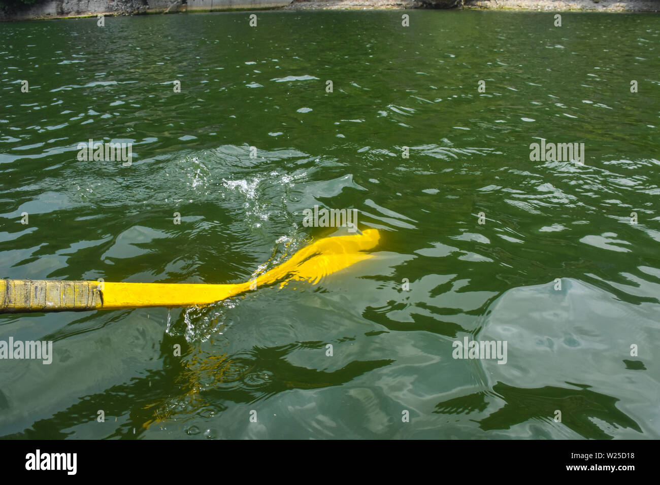 floating in the water Stock Photo - Alamy