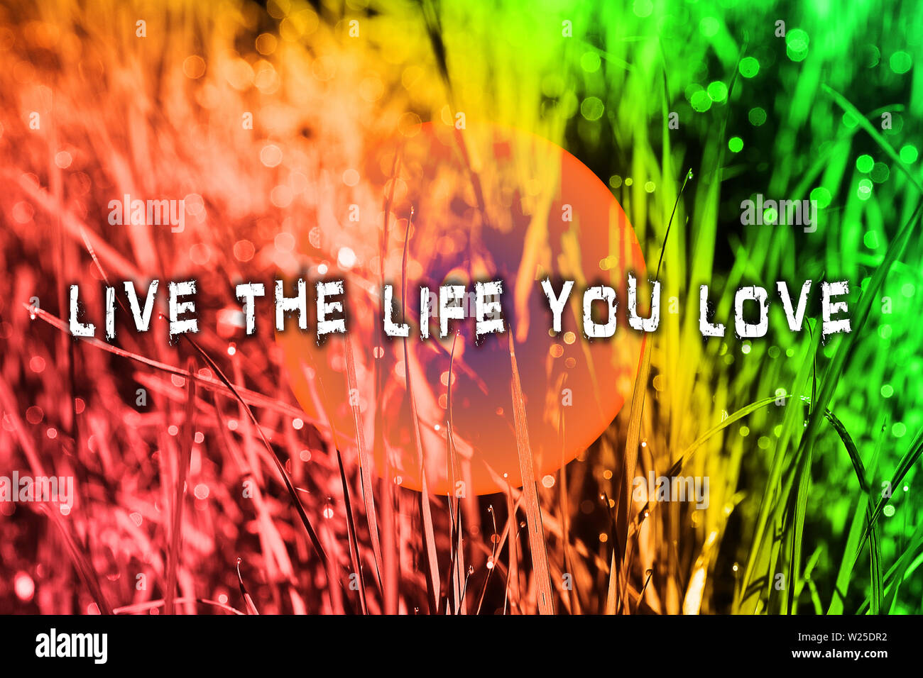 Live The Live You Love Text In Colorful Background Quote Wallpaper Stock Photo Alamy