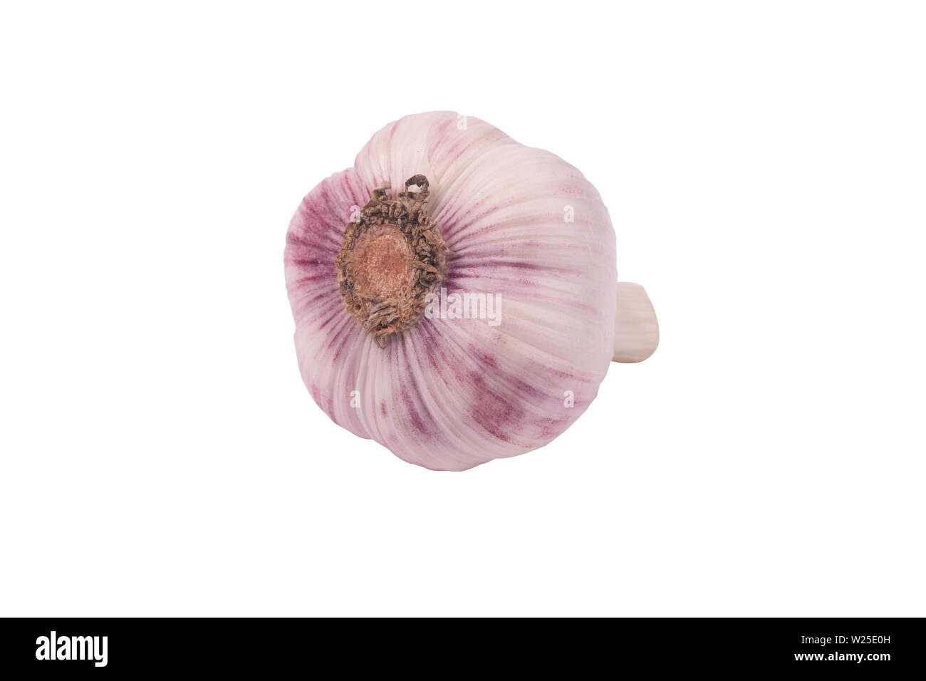 Head of young garlic isolate on a white background Stock Photo