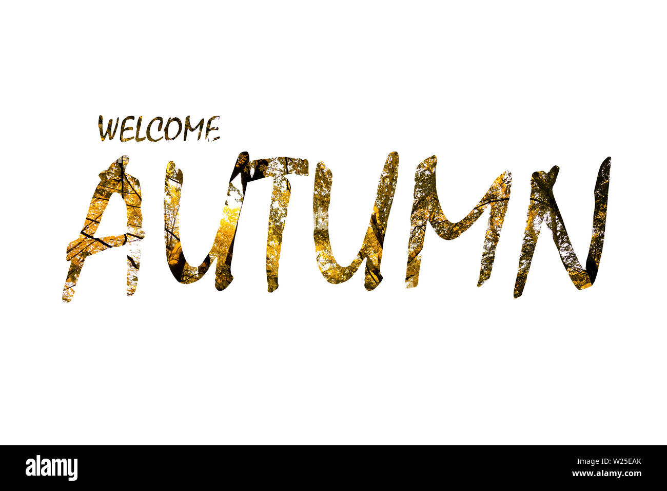 Calligraphy inscription Cut Out Stock Images & Pictures - Alamy