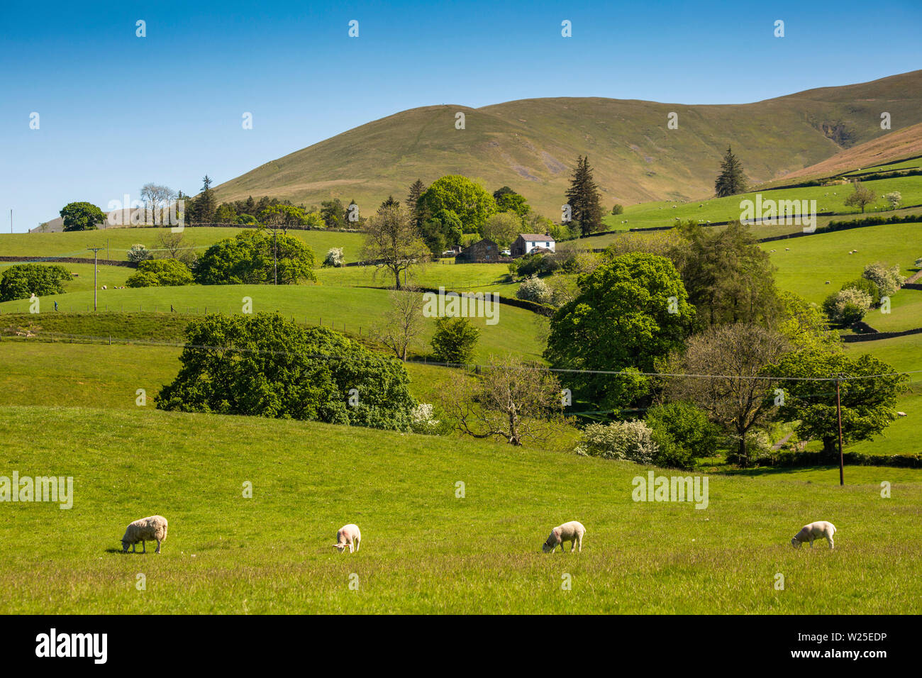 UK, Cumbria, Sedbergh, Underwinder, remote farmhouse below Winder and Howgill Fells from Marthwaite Stock Photo