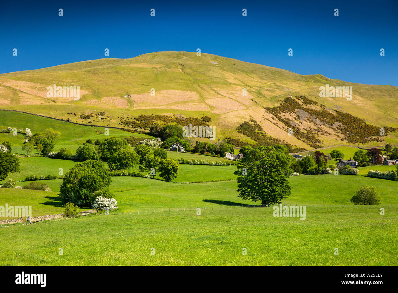 UK, Cumbria, Sedbergh, Marthwaite, remote farmhouses on Howgill Lane below Winder and Howgill Fells Stock Photo