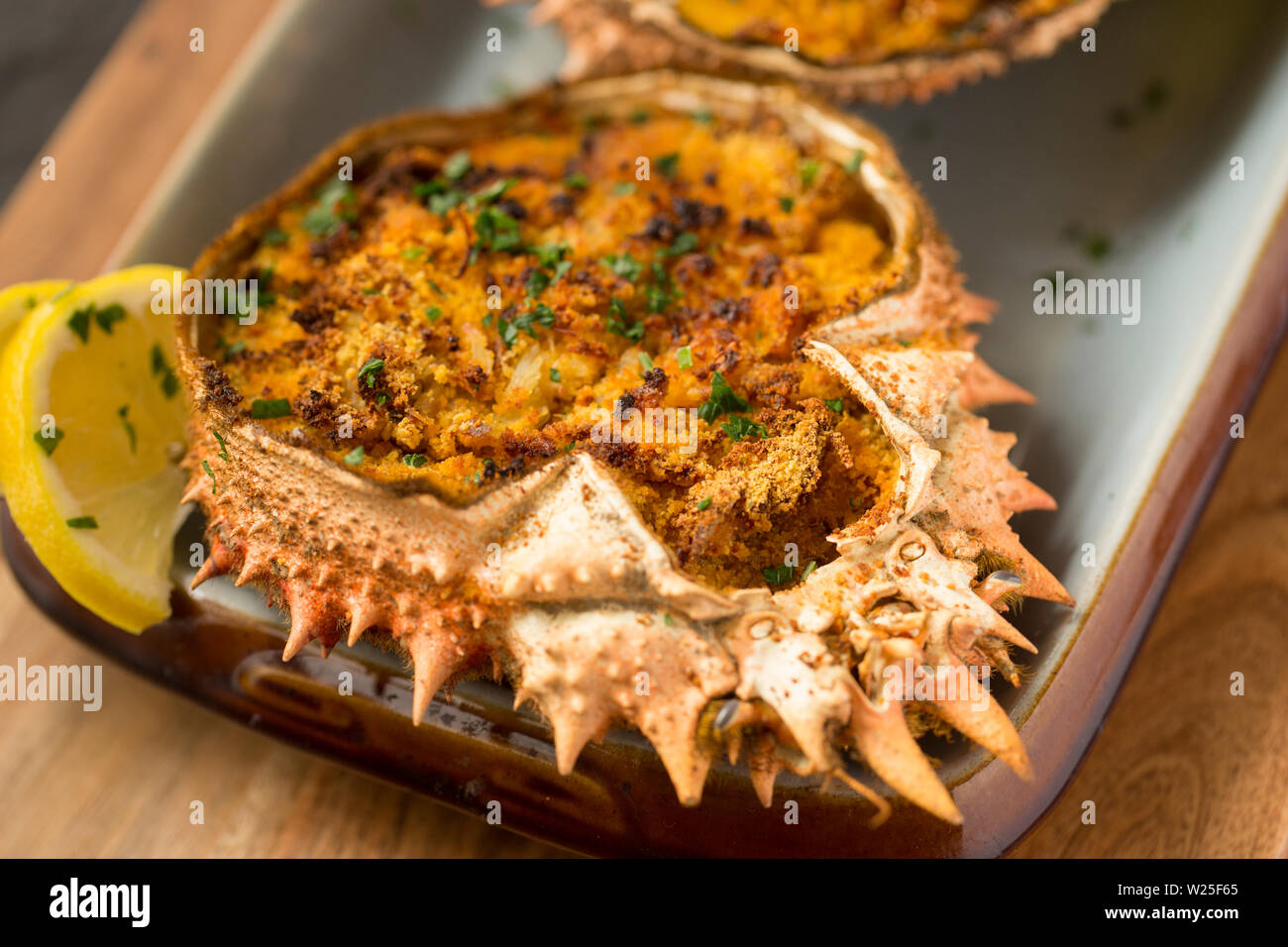 A homemade dish of baked spider crab based on the Basque dish of Txangurro or Changurro. The spider crab, Maja brachydactyla, was caught in the Englis Stock Photo
