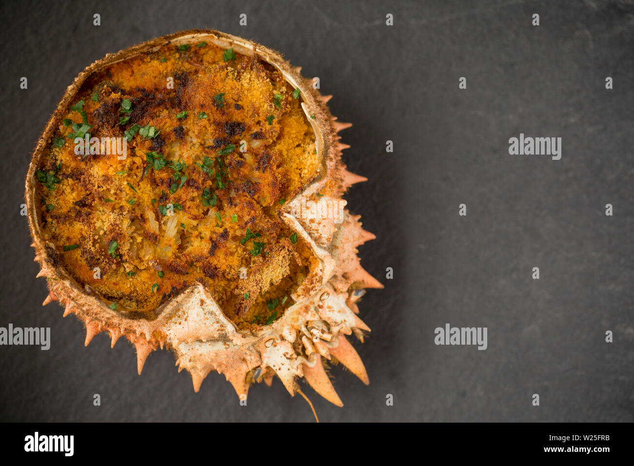 A homemade dish of baked spider crab based on the Basque dish of Txangurro or Changurro. The spider crab, Maja brachydactyla, was caught in the Englis Stock Photo